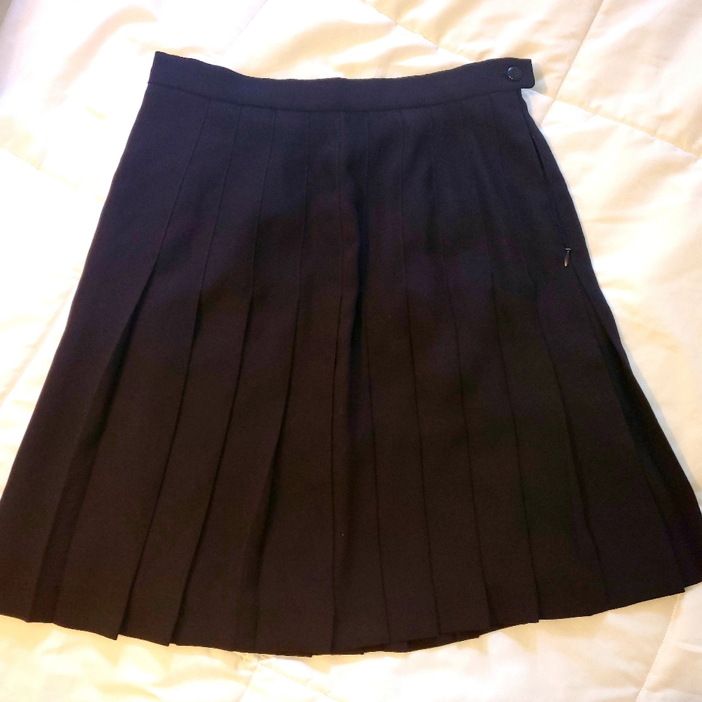 Ann Taylor navy pleated skirt size 10 petite